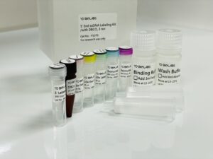5’End ssDNA Labeling Kit