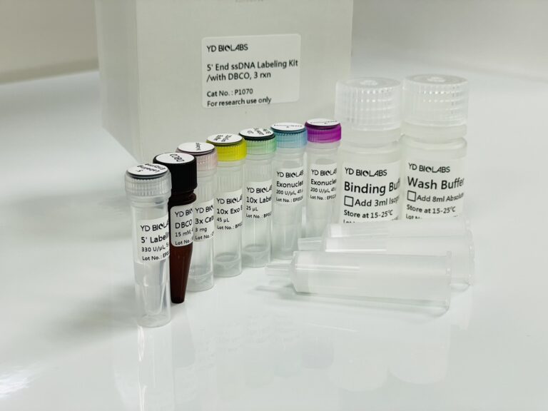 5’End ssDNA Labeling Kit