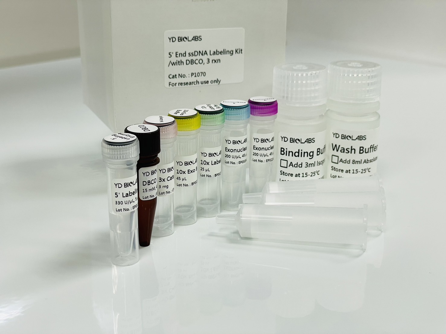 5’End ssDNA Labeling Kit