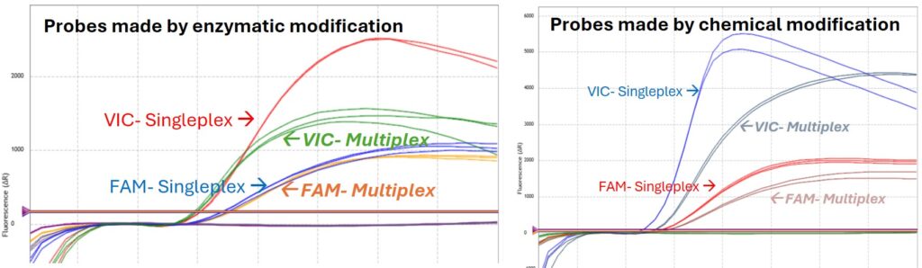 YD Biolabs' Dual-Labeled TaqMan DNA Probes