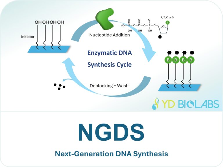 Next-Generation DNA Synthesis (NGDS)