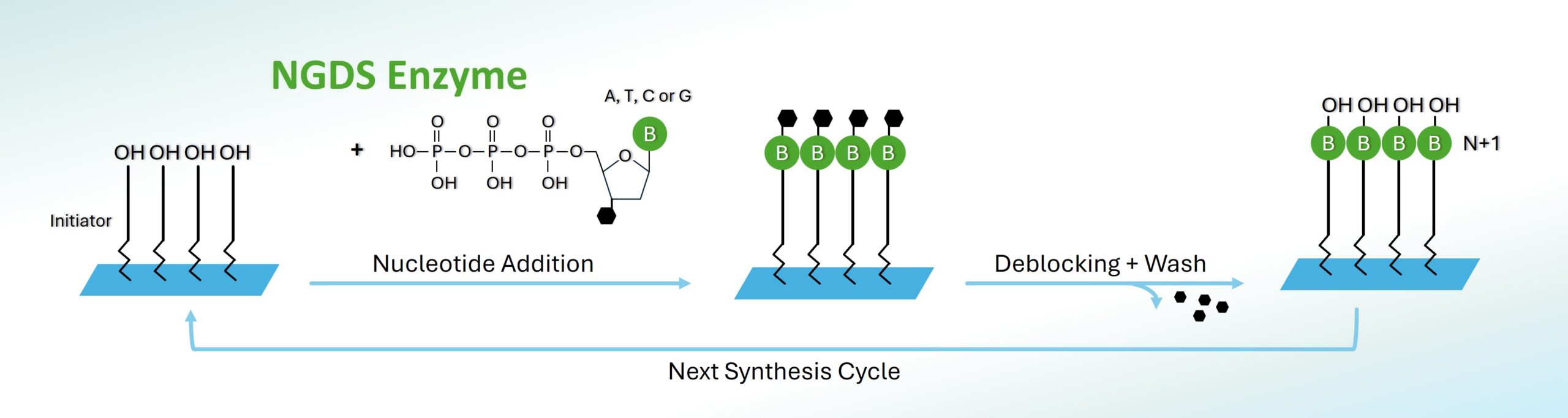 Next-Generation DNA Synthesis (NGDS)