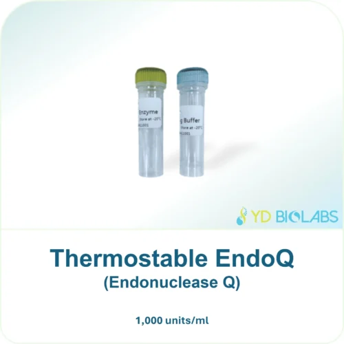 Thermostable EndoQ (Endonuclease Q)