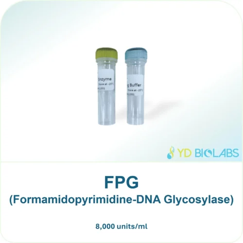 FPG (Formamidopyrimidine-DNA Glycosylase)