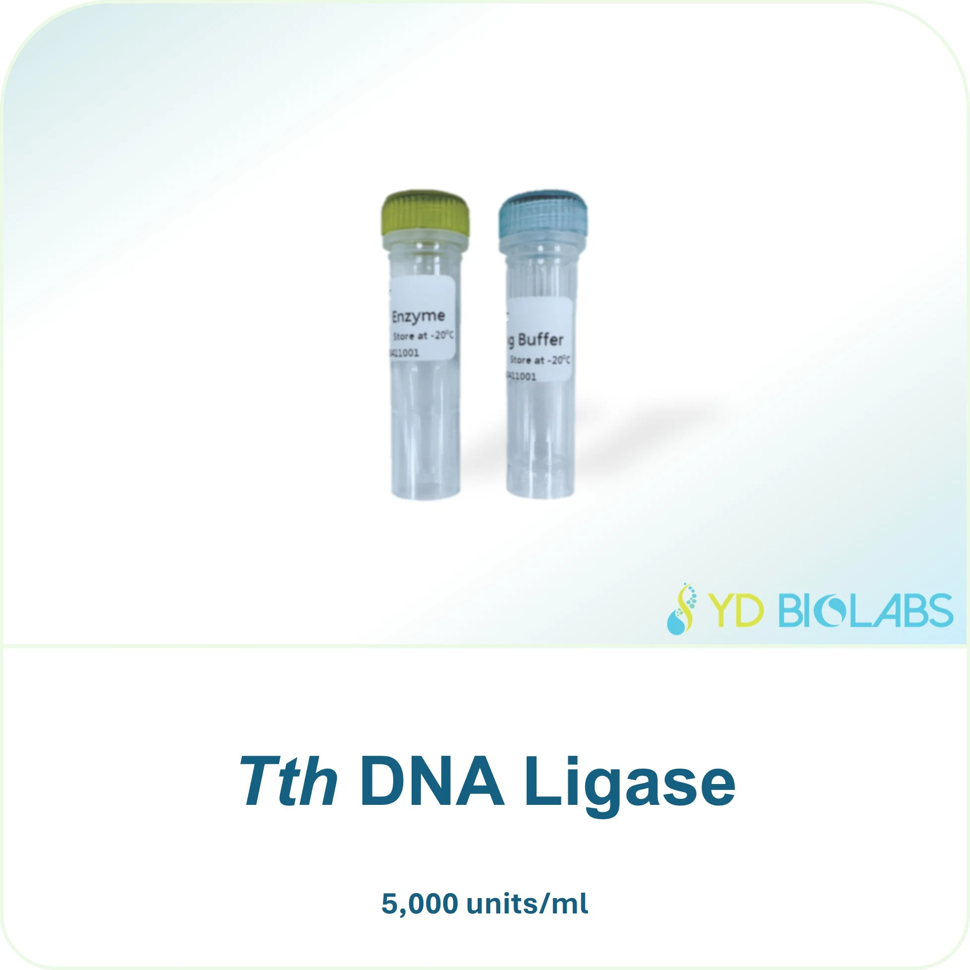 Tth DNA Ligase
