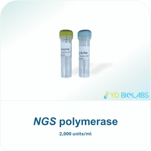 NGS Polymerase