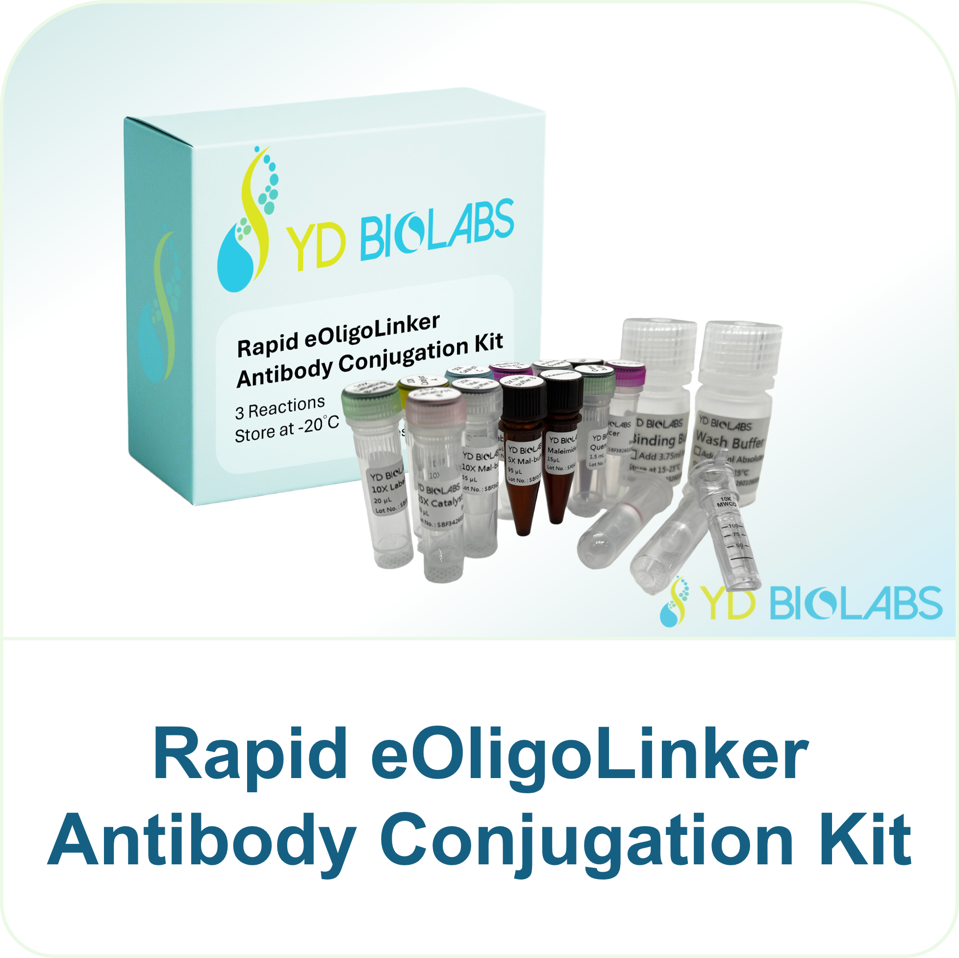 Rapid eOligoLinker Antibody Conjugation Kit