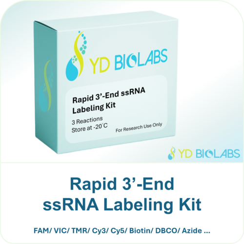 Rapid 3’-End ssRNA Labeling Kit