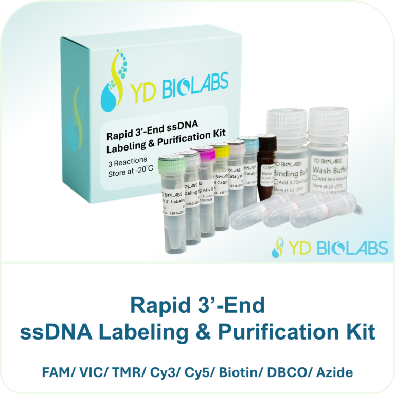 Rapid 3’-End ssDNA Labeling & Purification Kit