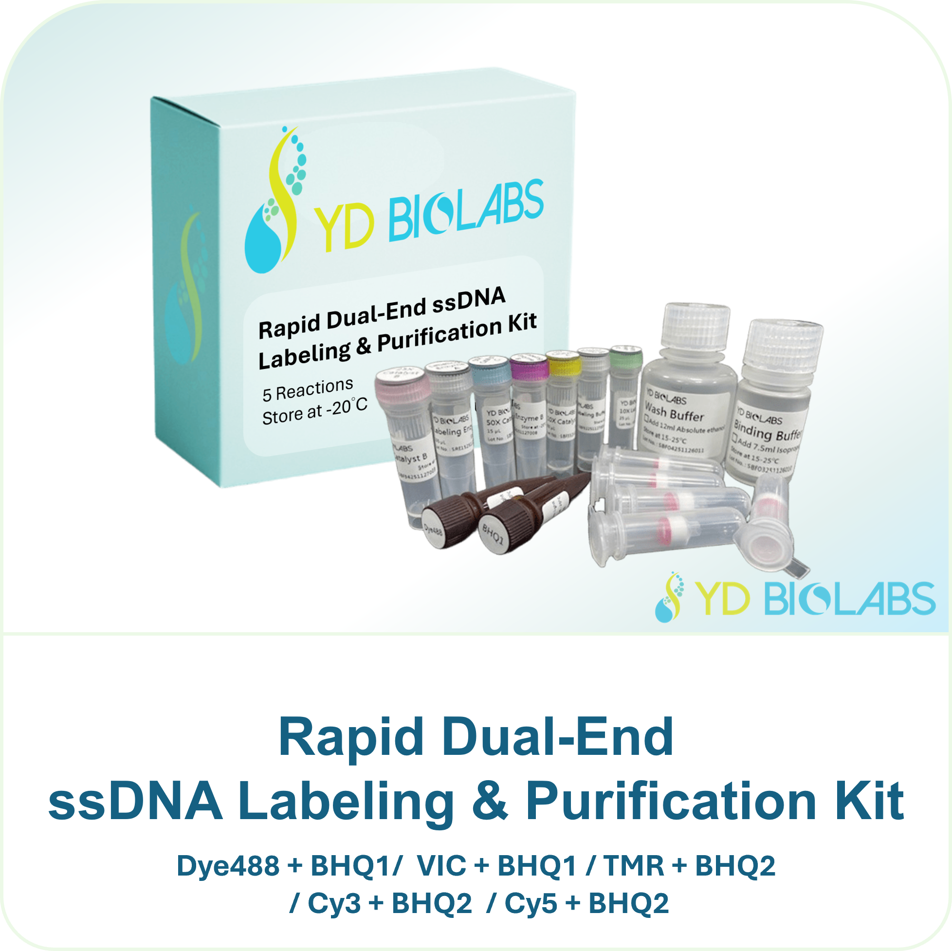 Rapid Dual-End ssDNA Labeling & Purification Kit