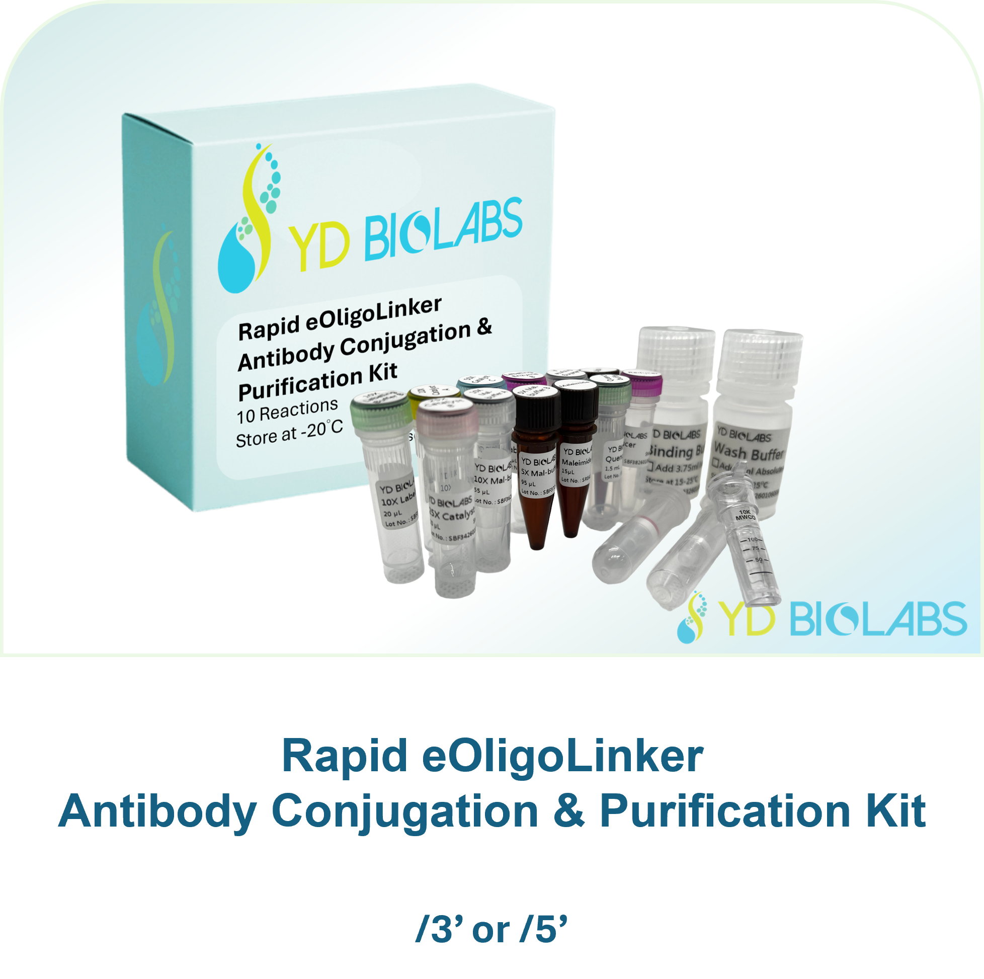 Rapid eOligoLinker Antibody Conjugation & Purification Kit