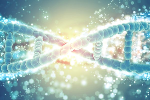 Enzymatic DNA synthesis 酵素法基因合成