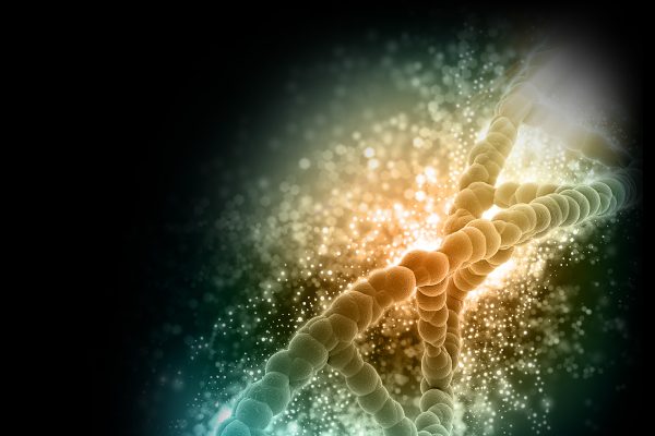 YD Biolabs